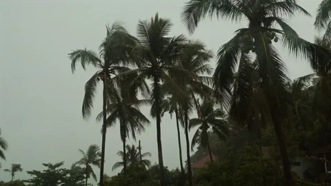 Stormy weather in the tropics with rain ... | Stock Video | Pond5