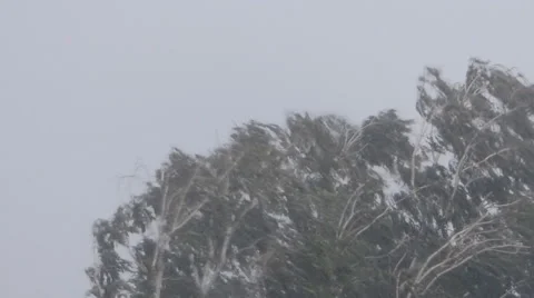 Stormy Wind And Lightning Video stock 56868070