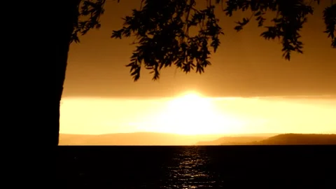 A stormy wind blows the leaves of the trees on the waterfront at sunset Stock Footage 245850301