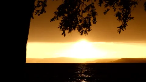A stormy wind blows the leaves of the trees on the waterfront at sunset Stock Footage 245850302