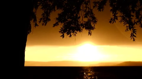 A stormy wind blows the leaves of the trees on the waterfront at sunset Stock Footage 245850353