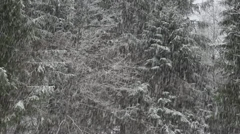 Stormy winter day Stock Footage 20644922