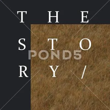 Story Post Social Media Instagram Template PSD Template