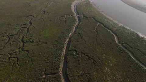 Stour mudflat 03 Stock Footage 274889515