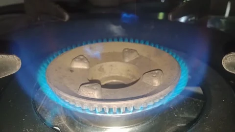 Stove Fire Stock Footage 171554223