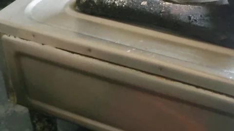 Stove shegdi burner Vídeo Stock 317948347