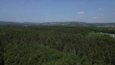 Stover Country Park, S. Devon, England: DRONE VIEWS: Densely wooded Park area Stock Footage 242078684