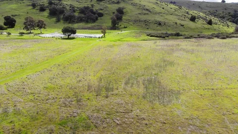 STP20_Slowly going back over grassy field during a bright sunny day. Stock Footage 118852471