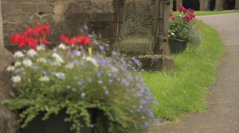 St.Peter's Flowers Pull Focus Stock-Footage 42267602