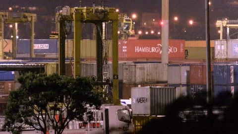 Straddle Cranes Stock Footage 170037100