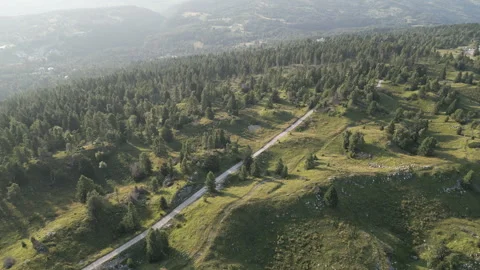 Straight alpine road through forested meadows on Nevegal at golden hour Stock Footage 318778141