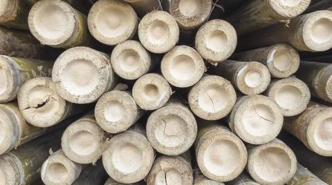 Straight Angle View of Rough Sawn Bamboo Wall Texture Stock Photos