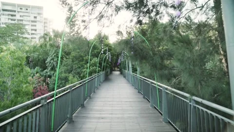 Straight Boardwalk Video stock 145572199