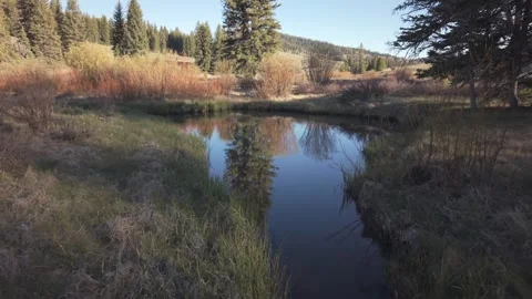 Straight Canyon Over Pond with Pine Reflection Video stock 334639724