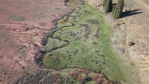Straight Canyon Utah Top Down Aerial Drone Shot Along Winding Stream Stock-Footage 334639705