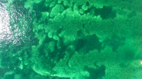 Straight Down Aerial Over Emerald Waters, Florida Keys, 4K Stock Footage 71134326
