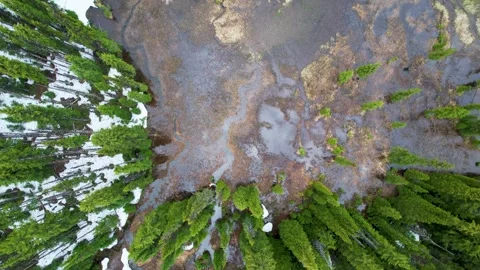 Straight down aerial of trees snow and bog Stock Footage 243603773