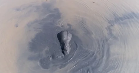 Straight down aerial view of an elephant playing and swimming in a river in the Video stock 85278995