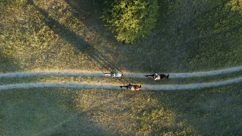 Straight down aerial view of a group of horse riders on safari walking their Stock Footage 107326635