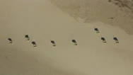 Straight Down Aerial View Of Group Of Gemsbok (Oryx)Walking In Namib Desert Stock Footage