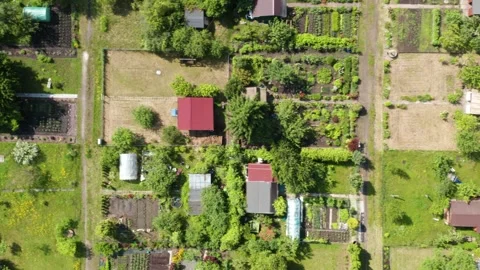 Straight-down aerial view of organized garden plots and small allotment houses Stock Footage 311831182