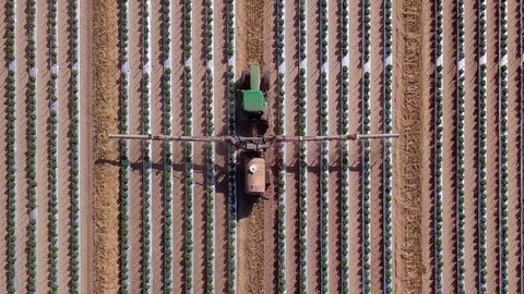Straight down aerial view of tractor spraying tomato field Stock Footage 89778050