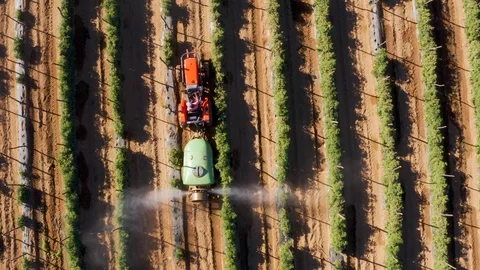 Straight down aerial view of a tractor spraying pesticide onto tomatoes on a Stock Footage 112982805