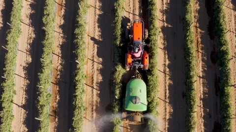 Straight down aerial view of a tractor spraying pesticide onto tomatoes on a Stock Footage 112982917