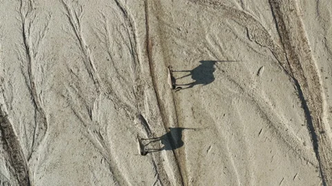 Straight down aerial view of two Gemsbok Oryx walking on dry cracked mud Stock Footage 155707844