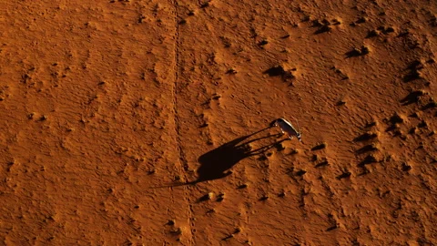 Straight down aerial zoom in view of a lone Oryx(Gemsbok) walking in the Namib Stock-Footage 144237939