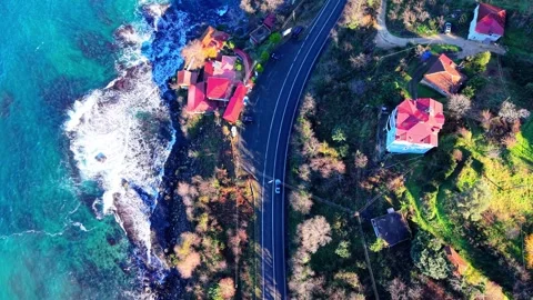 Straight Down Drone Flyover of Vehicles on Seaside Highway and Forest Stock-Footage 335142675