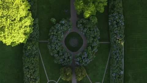 Straight down drone footage of vibrant summer trees, soft shadows in a public Vídeo Stock 337866902