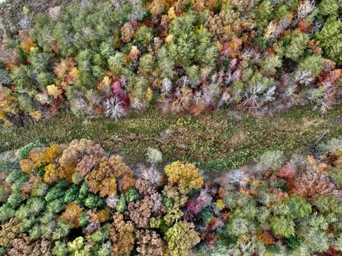 Straight down drone shot of a forest in Gatlinburg Tennessee during fall. Stock Photos