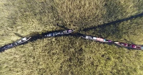 Straight down high aerial view of tourists heading out on a Mokoro safari along Stock Footage 78211225