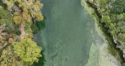 Straight Down Look Into a Clear River Texas Hill Country Aerial View Hunt Texas Video stock 335726829