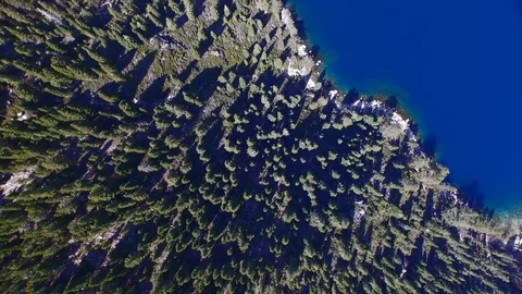 Straight down over trees 2 Lake Tahoe Emerald Bay 000817 DJI_0001 Stock Footage 90565274