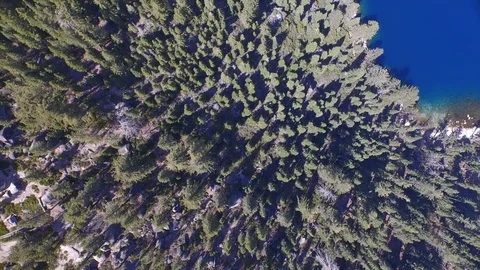 Straight down over trees Lake Tahoe Emerald Bay 002011 DJI_0001 Stock Footage 90565265
