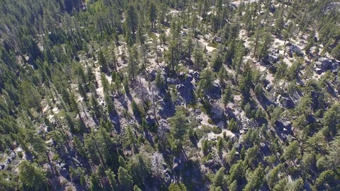 Straight down rotating over trees Lake Tahoe Emerald Bay 001515 DJI_0001 Stock Footage 90642863