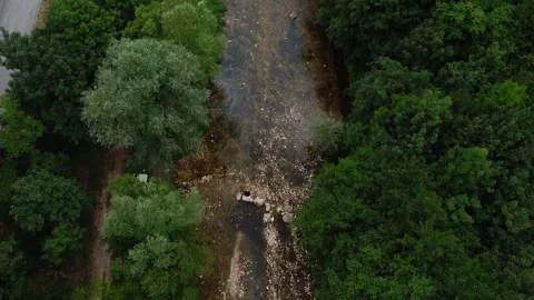 Straight Down View Tracking River Course Through Dense Green Woodland Stock Footage 319994503