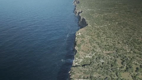 Straight Drone Flight Along Menorca Coast with Descending Top-Down Camera Stock-Footage 344183576