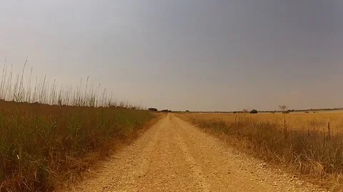 Straight dusty road Stock Footage 78358541