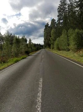 Straight Empty Asphalt Road Through a Green Forest Stock Photos