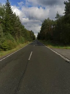 Straight Empty Asphalt Road Through a Green Forest Stock Photos
