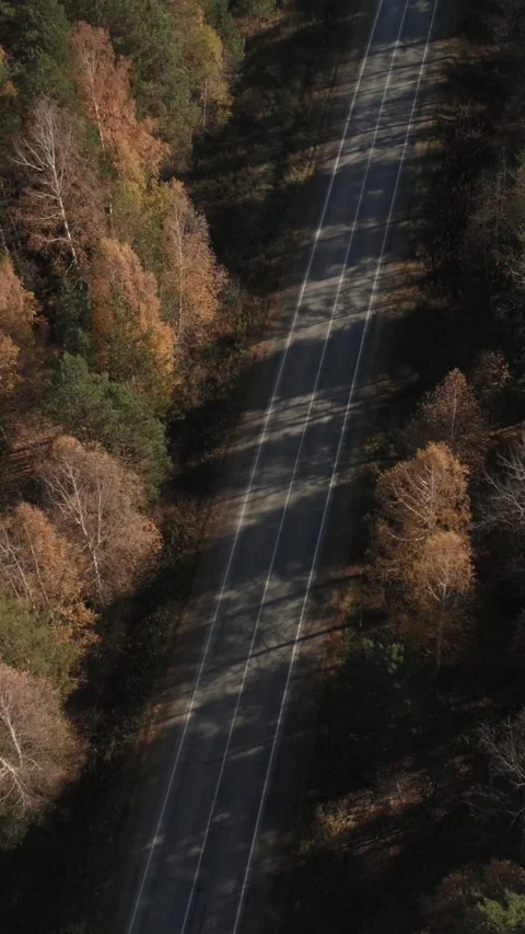 Straight empty highway running through golden autumn forest in Ural Mountains Stock Footage 346558881