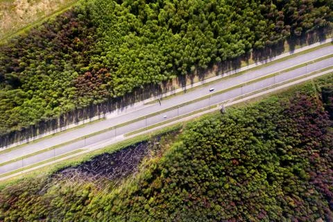 Straight empty highway through deep forest aerial top view Foto stock