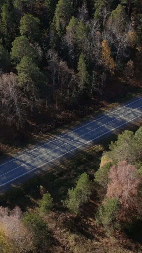 Straight empty highway through golden autumn forest in Russia’s Ural Mountains Stock Footage 346558907