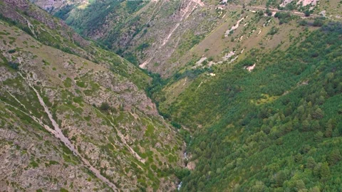 Straight flight in a deep green gorge Stock Footage 213624539