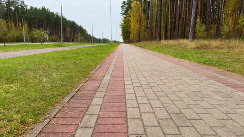 Straight gray brick pedestrian path with red borders runs  Stock Footage 348004033