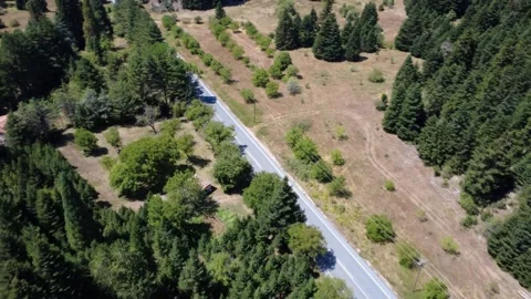 Straight high mountain road through fir forest with clearings and red roof home Stock Footage 326353384