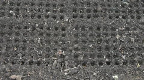 Straight lines of round cells in raw gray soil. Tilt from down to up Stock Footage 64955255